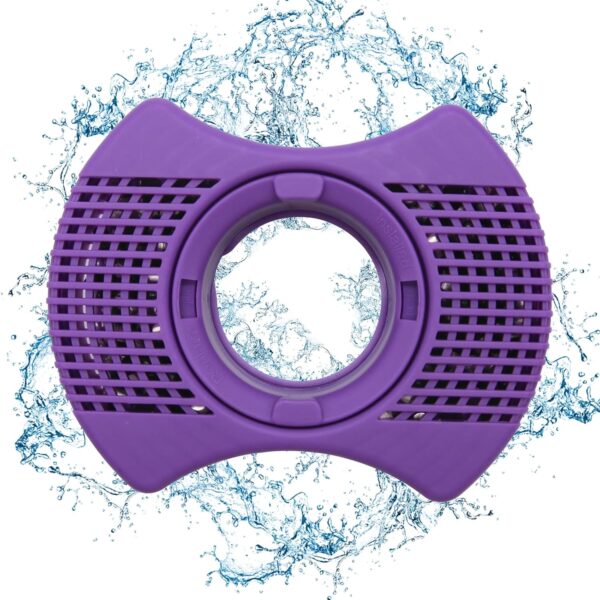 Spa Filter
