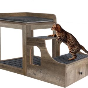 Pet Bunk Bed
