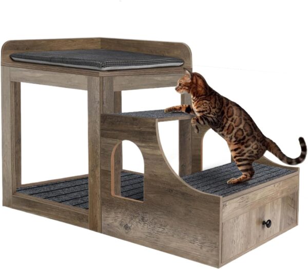 Pet Bunk Bed