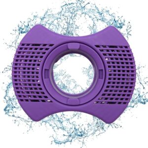 Spa Filter
