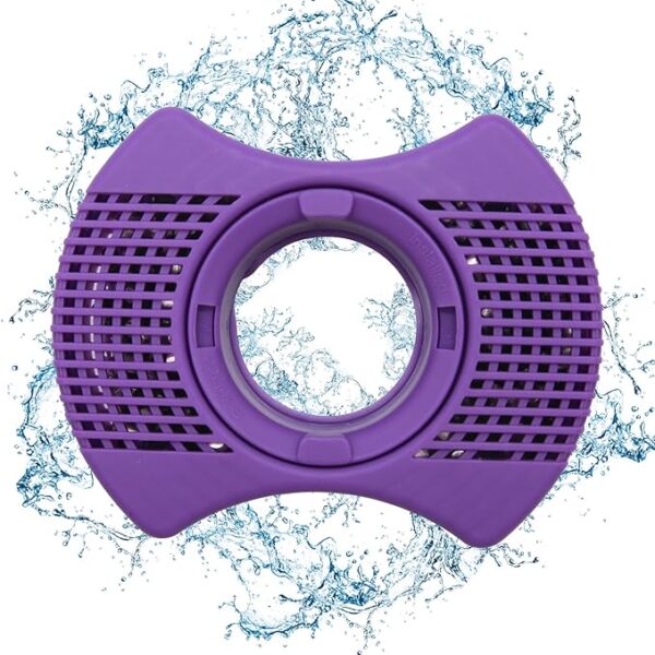 Spa Filter