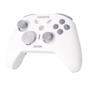 Switch Pro Controller
