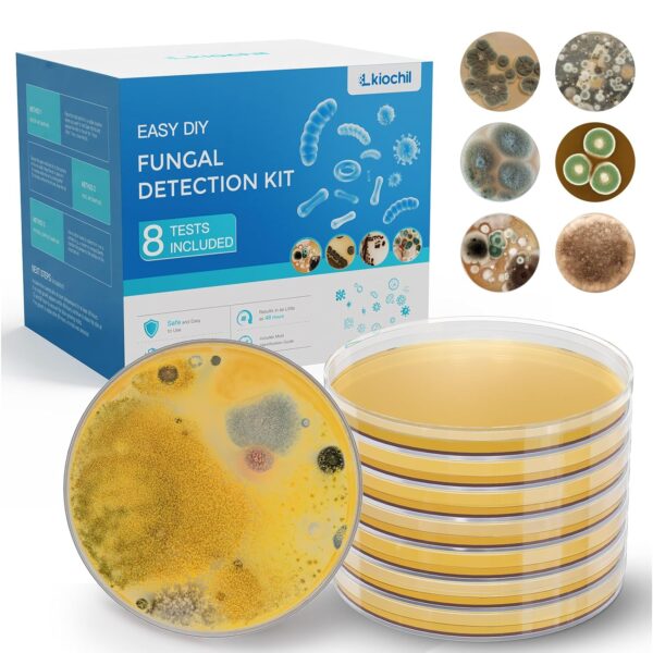 Mold Test Kit for Home