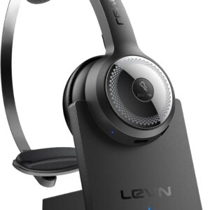 Headset with Mic