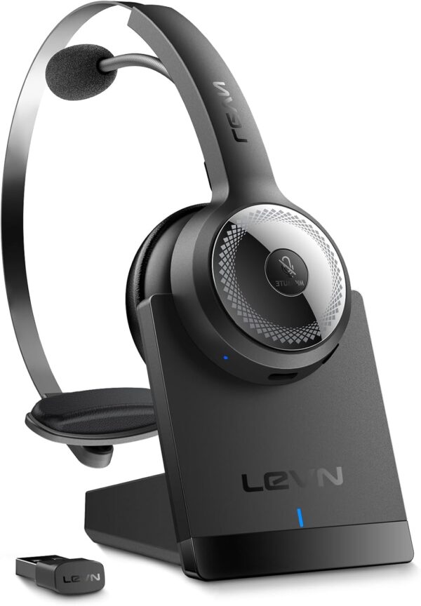 Headset with Mic