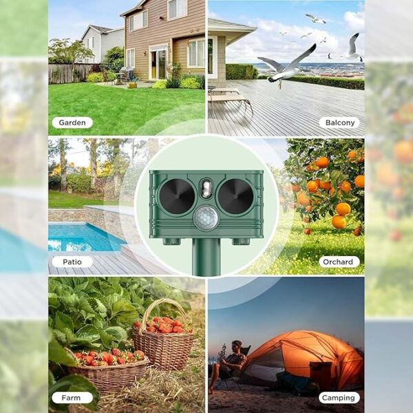 Cat Repellent for Garden