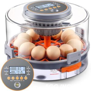 Chicken Egg Incubator