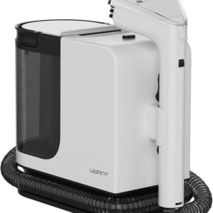 Portable Carpet Cleaner