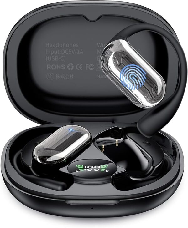 Translation Earbuds