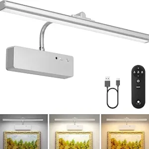 Picture Light with Remote