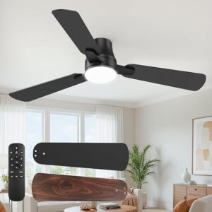 Ceiling Fans with Lights