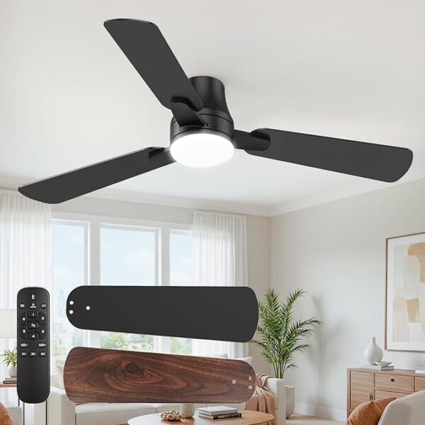 Ceiling Fans with Lights