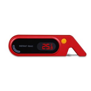 Precision Thermometer
