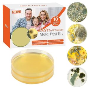 Mold Test Kit for Home