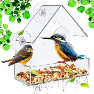 Acrylic Wild Bird Feeder