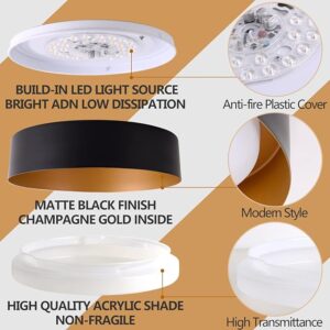 Bargeni Flush Mount Ceiling Light