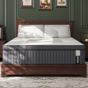 Queen Mattress