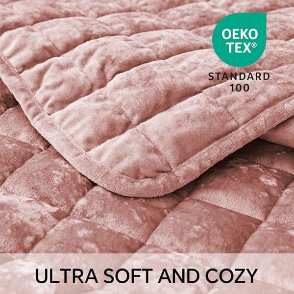 BEDELITE Velvet Quilt Set - Image 4