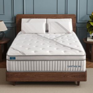 Lechepussleep Queen Mattress