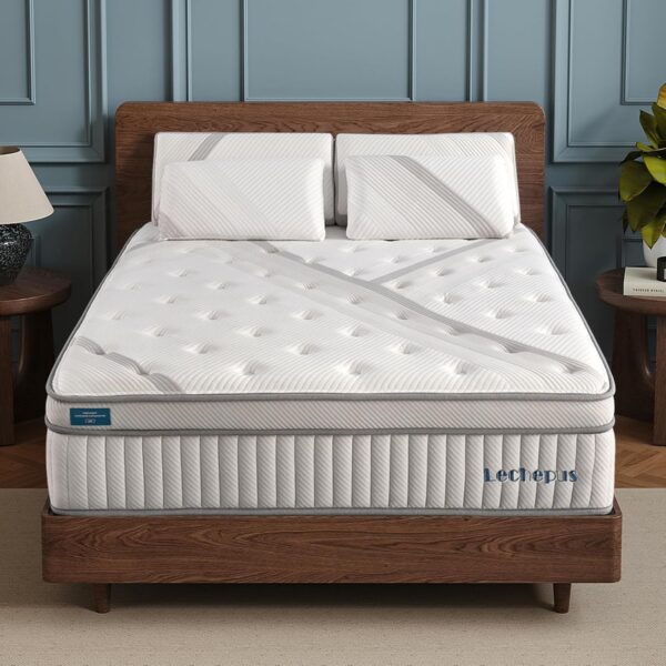 Lechepussleep Queen Mattress