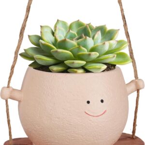 Smiley Face Flower Pot