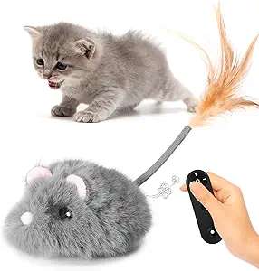 Remote Control Cat Toy