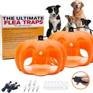 Flea Traps for Inside Home