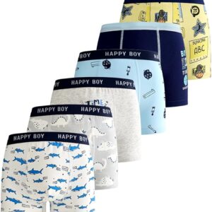 Boys' and Toddler Boxer