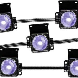 Dynamic Lighting Effects Patio Lights