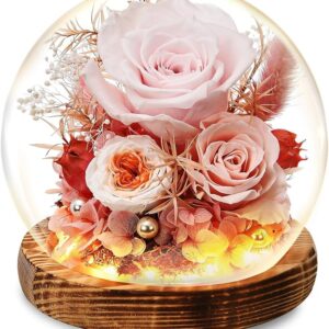 HFGFSQ Preserved Flowers