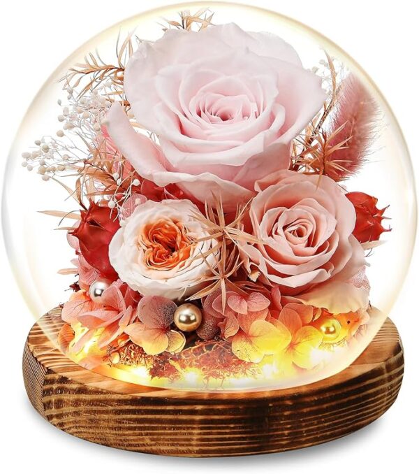 HFGFSQ Preserved Flowers