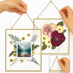 Beedecor Frame for Pressed Flowers