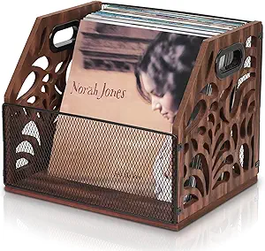 CILXGQLN Vinyl Record Storage