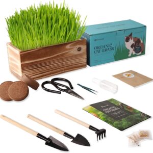 Cat Grass Growing Kit