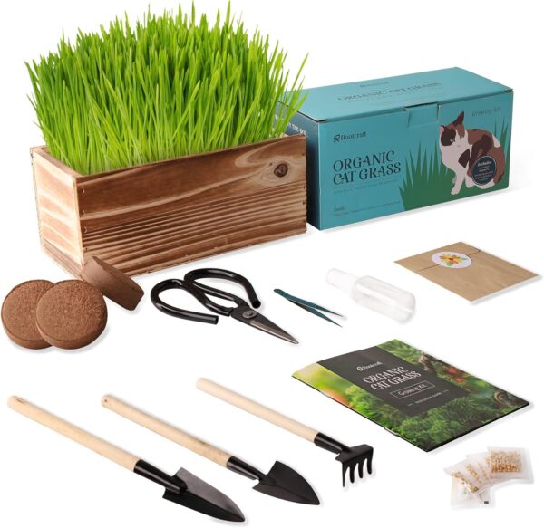 Cat Grass Growing Kit