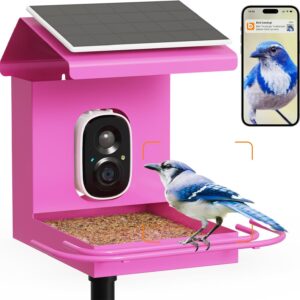 Smart Bird Feeder