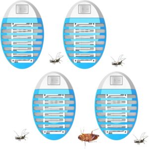 Fly Trap