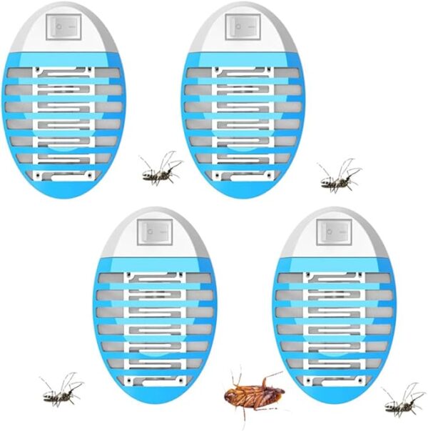 Fly Trap