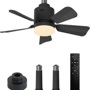 BWGZH Ceiling Fan with Light