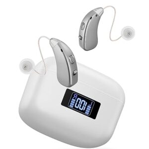 YKVLIQS Hearing Aids