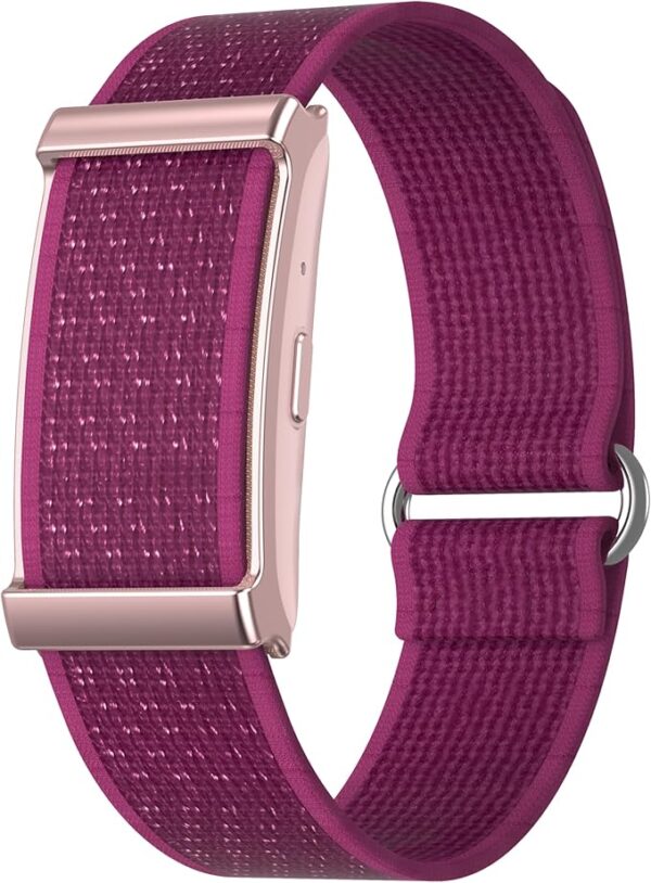 Ganopterygon Smart Health Wristband