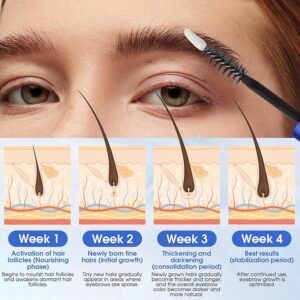 YNGLLC Eyebrow Growth Serum