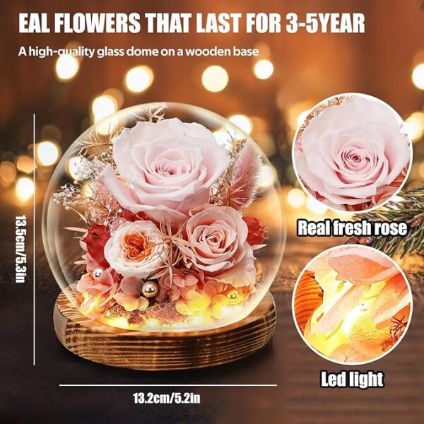 HFGFSQ Preserved Flowers - Image 4