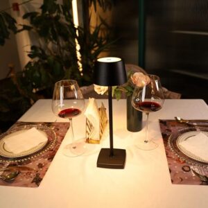 Cordless Table Lamp