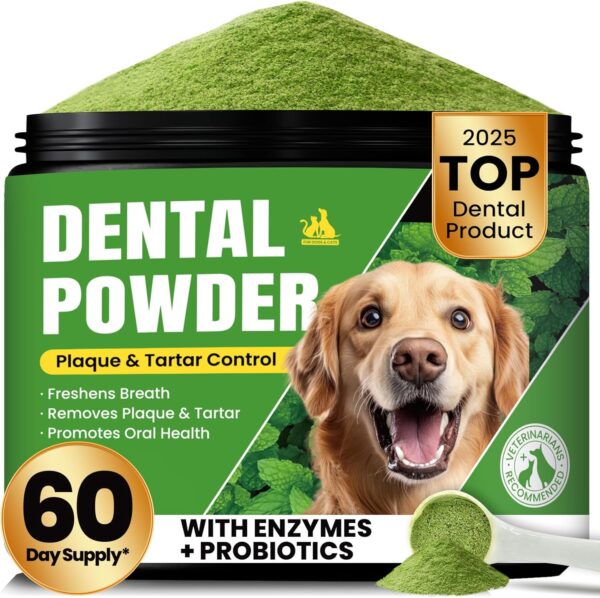 Dog teeth cleaning