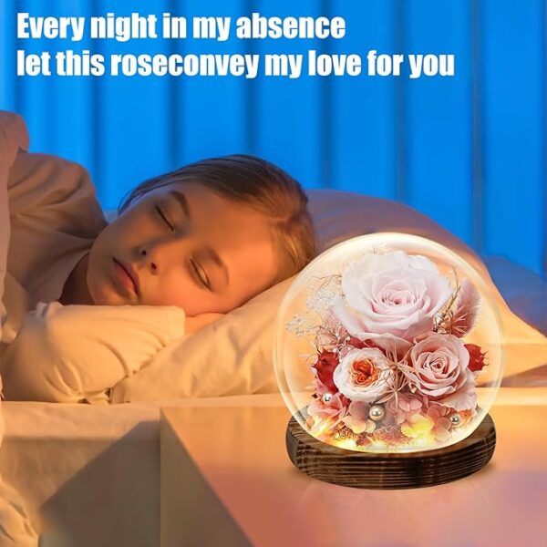 HFGFSQ Preserved Flowers - Image 3