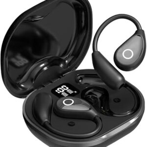 Hayriya Translation Earbuds