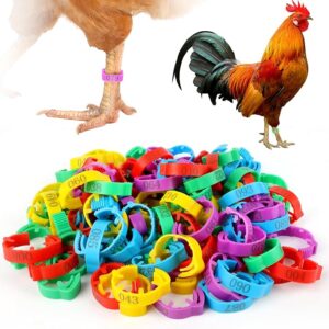 Cosyall  Adjustable Chicken Leg Rings