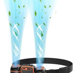Dogean Portable Waist Fan with Dual Small Fans