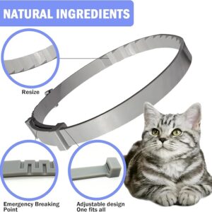 Quivanta CAT Collars